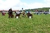  - Spéciale de race Evreux 10/05/2018