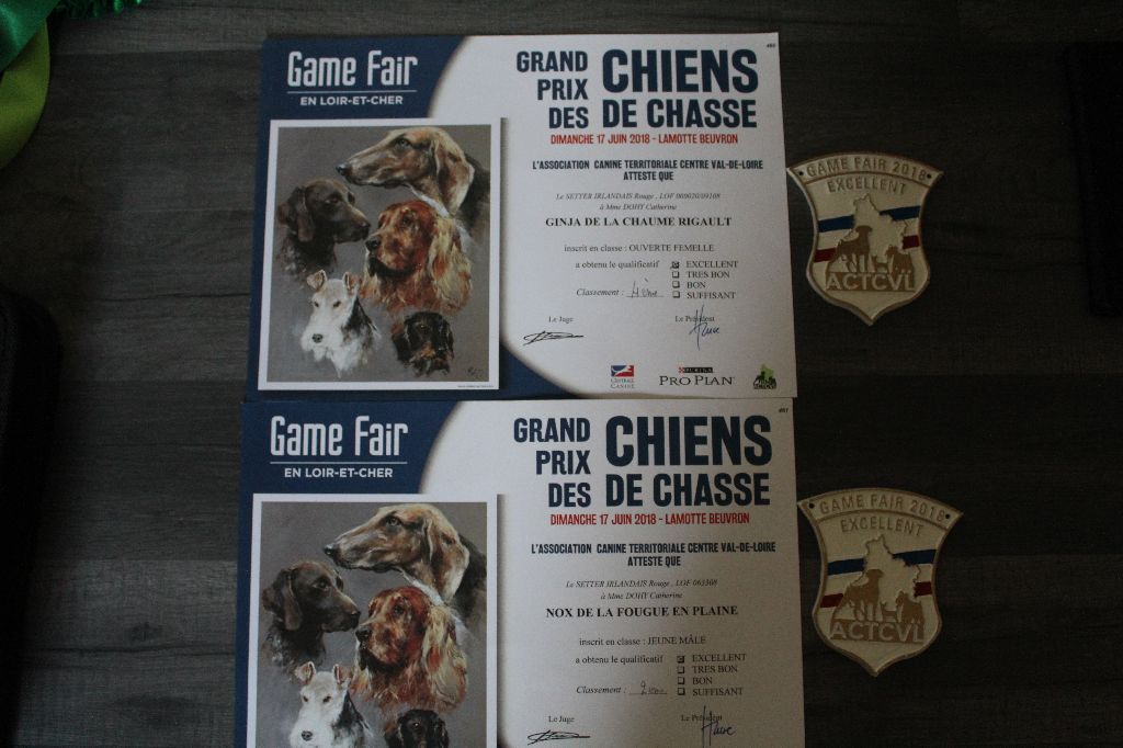 De La Fougue En Plaine - Spéciale de race game fair 2018