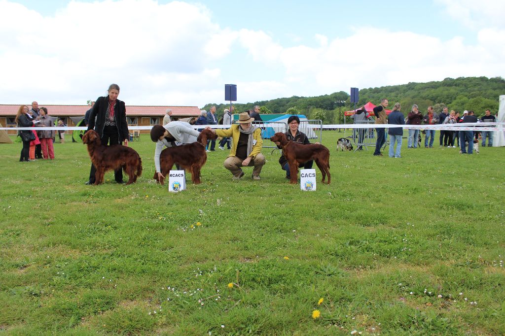 De La Fougue En Plaine - Spéciale de race Evreux 10/05/2018